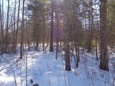 0 Mildram Rd, Wells, ME 04090 - photo 3