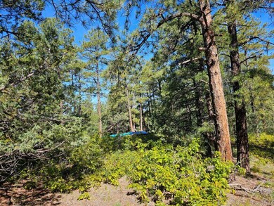 0 Chipmunk Dr unit B46 23-635, Trinidad, CO 81082 - photo 7
