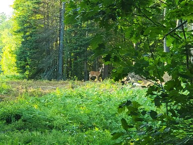 Lot 19 Scrag Mountain Rd, Sugar Hill, NH 03586 - photo 7