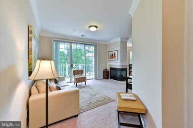 1724 Osage St unit 301, Alexandria, VA 22302 - photo 2