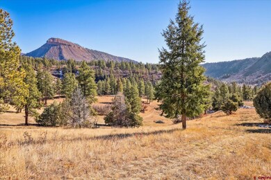 Parcel F Laughing Dog Ln, Durango, CO 81301 - photo 6