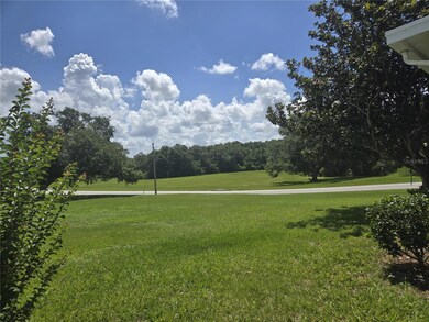 GREENSPACE BEHIND HOUSE