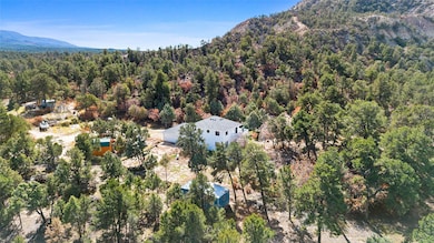 53 State Highway 595, Lindrith, NM 87029 - photo 4