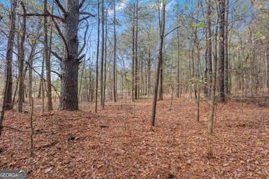 63 Paul Smith Rd unit 2, Covington, GA 30014 - photo 5