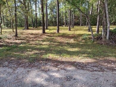 0 Barbil Ln unit 60920870, Huffman, TX 77336 - photo 2