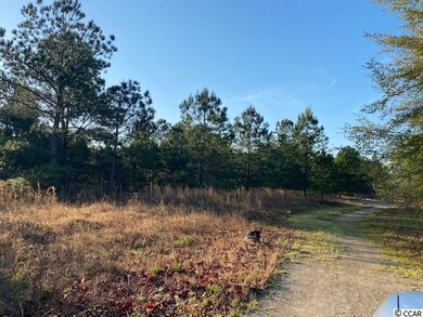 21.88 Acs Pebble Ln, Conway, SC 29526 - photo 3