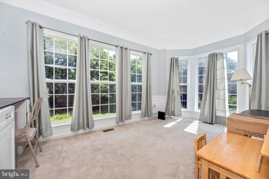 23 Donovan Ct, Knoxville, MD 21758 - photo 6