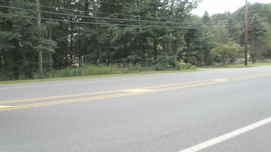 3921 Ridgeway Rd, Lakehurst, NJ 08759 - photo 5