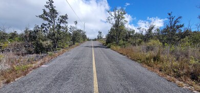 0 Bamboo Ln unit 713558, Ocean View, HI 96704 - photo 3