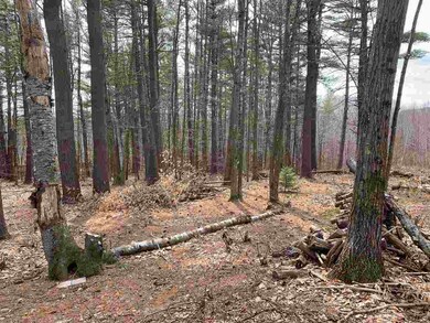 0 High Ridge Rd unit 4746979, Dublin, NH 03444 - photo 2