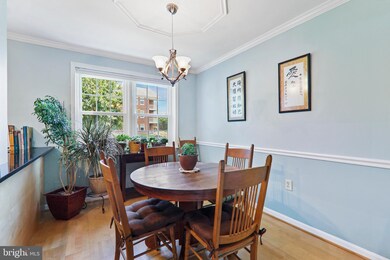 6607 Potomac Ave unit A2, Alexandria, VA 22307 - photo 6