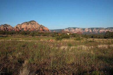EXTRAORDINARY VIEWS & NATIONAL FOREST