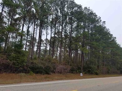 XXX Danley Grade, Crawfordville, FL 32327 - photo 2
