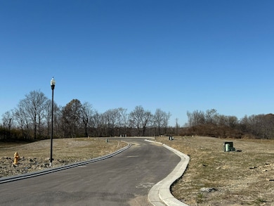 6681 Tullamore Ln unit Lot 3, Independence, KY 41051 - photo 4