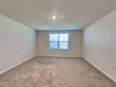 3016 Meleto Blvd, New Smyrna Beach, FL 32168 - photo 7