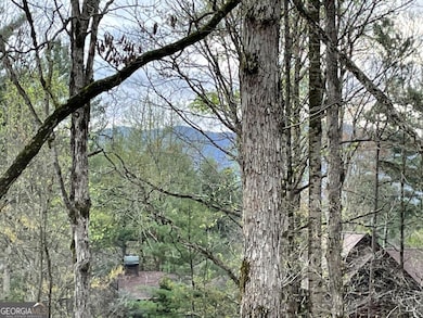 56 Hunterhill Way, Ellijay, GA 30540 - photo 3