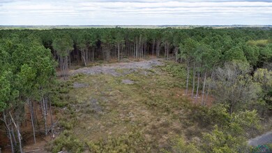 TBD Wolf Rd, Pittsburg, TX 75686 - photo 5