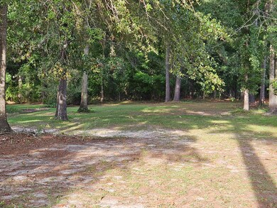 BACKS TO THE WOODS
