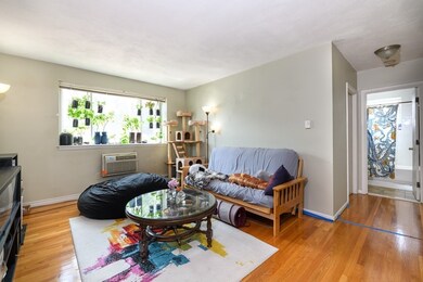 259 Summer St unit 5, Somerville, MA 02143 - photo 2