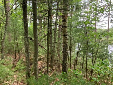 Lot 4 Somo Ridge Dr, Tomahawk, WI 54487 - photo 6