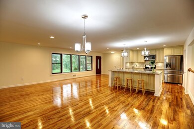 15406 Peach Orchard Rd, Silver Spring, MD 20905 - photo 4