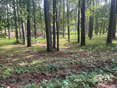 Lots 12 & 13 Denbo Cir, Harvest, AL 35749 - photo 6