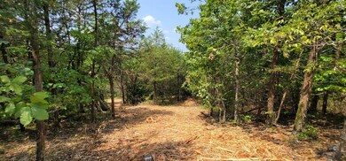 Cleared Path for Viewing