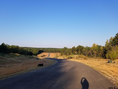 20522 Wild Arrow Ct, Arp, TX 75750 - photo 3