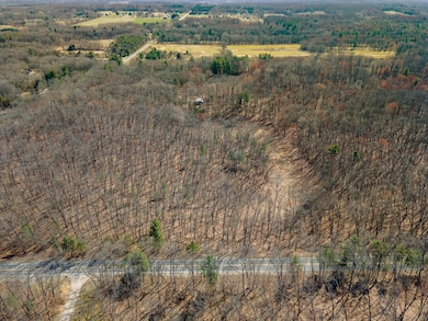 C 14714 Myers Lake Parcel Rd NE, Cedar Springs, MI 49319 - photo 5