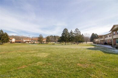 335 Carriage Ln, Canfield, OH 44406 - photo 5