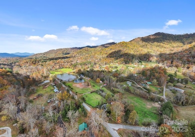 1100 Reems Creek Rd, Weaverville, NC 28787 - photo 5