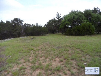 0 Rocky Ridge Loop unit 210790, Canyon Lake, TX 78133 - photo 3