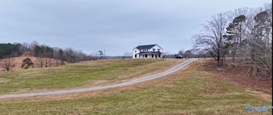 2465 Alabama 179, Altoona, AL 35952 - photo 2