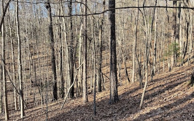 L2458 Montage Dr, Ellijay, GA 30540 - photo 3