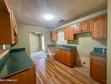 970 Ripley Ave, Ashland, MS 38603 - photo 5