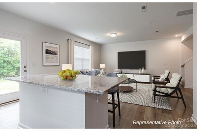 1267 Maple Shade Rd SW unit 66, Concord, NC 28027 - photo 4