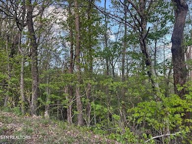 0 Hickory Tr unit 1260050, Crab Orchard, TN 37723 - photo 2