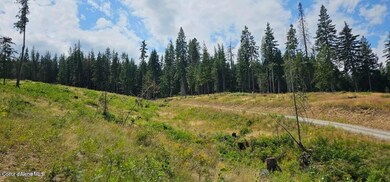 Lot 2 of the Replat of Lot 2 Blk 1, Kingston, ID 83839 - photo 5