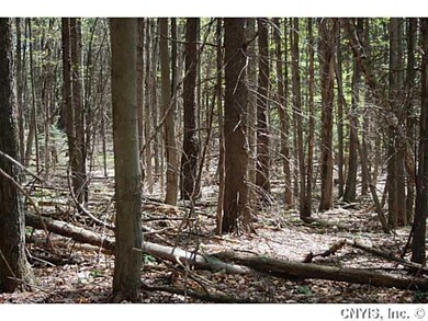 Land/Lot