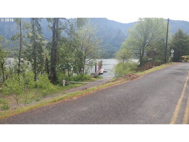 0 Skamania Landing Rd unit 9 16353891, Skamania, WA 98648 - photo 4
