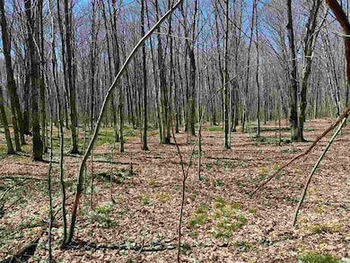 tbd W Side Dr, Beaver Island, MI 49782 - photo 3