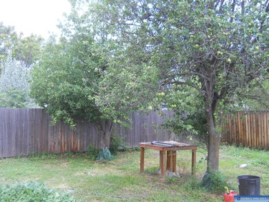 2009 Little Walnut Rd, Silver City, NM 88061 - photo 6