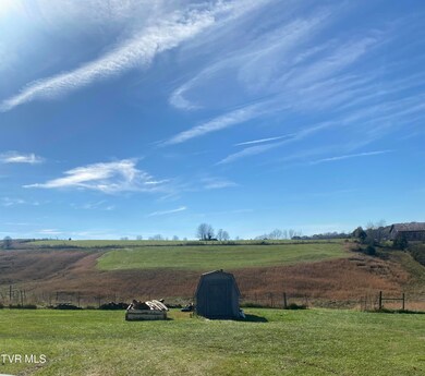 689 Painter Rd, Fall Branch, TN 37656 - photo 7