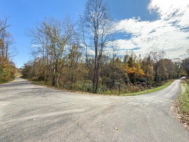 00 Hawk Station Rd, Vinton, OH 45686 - photo 5