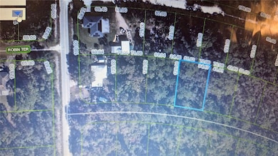 1108 Ray Terrace, Sebring, FL 33875 - photo 2