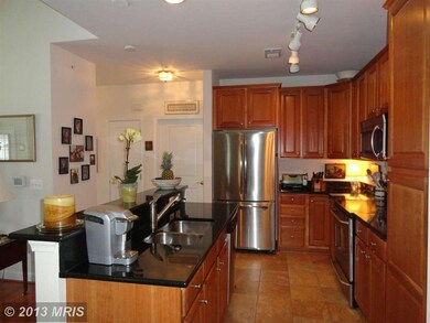 903 Noah Winfield Terrace unit 304, Annapolis, MD 21409 - photo 3