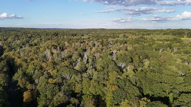 1739 Weed Rd, Torrington, CT 06790 - photo 6