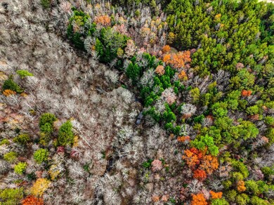 85 County Road 3217, Haleyville, AL 35565 - photo 2