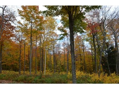 00 Route 66 unit 69, Ludlow, VT 05149 - photo 2