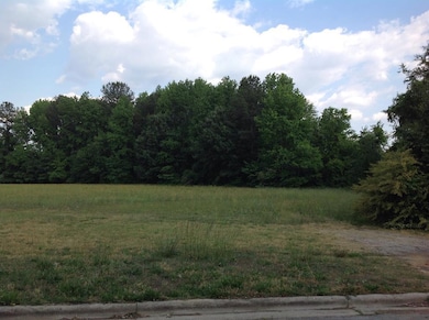 0 Old Farm Rd, Roanoke Rapids, NC 27870 - photo 4